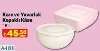 KAPAKLI KASE KAPAKLI KASE